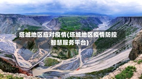 塔城地区应对疫情(塔城地区疫情防控智慧服务平台)