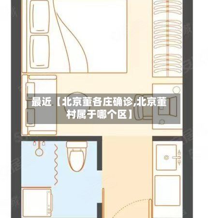 最近【北京董各庄确诊,北京董村属于哪个区】-第3张图片