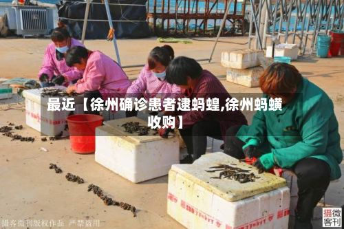 最近【徐州确诊患者逮蚂蝗,徐州蚂蟥收购】-第1张图片