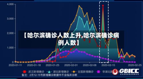 【哈尔滨确诊人数上升,哈尔滨确诊病例人数】-第2张图片