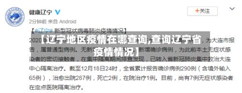 【辽宁地区疫情在哪查询,查询辽宁省疫情情况】-第3张图片
