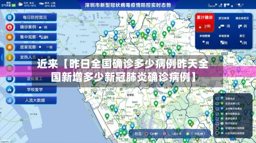 近来【昨日全国确诊多少病例昨天全国新增多少新冠肺炎确诊病例】-第3张图片