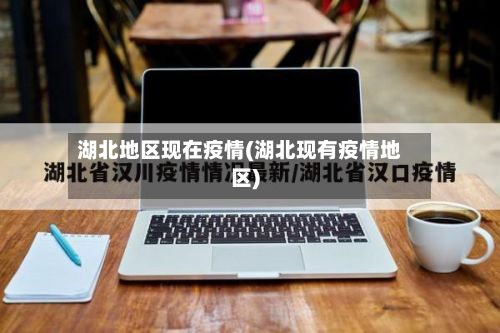 湖北地区现在疫情(湖北现有疫情地区)-第2张图片