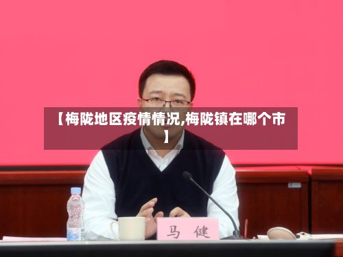 【梅陇地区疫情情况,梅陇镇在哪个市】-第2张图片