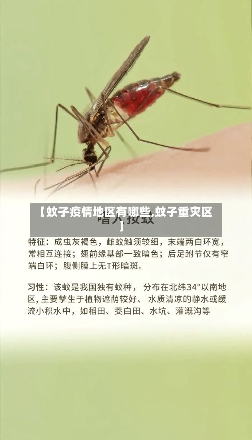 【蚊子疫情地区有哪些,蚊子重灾区】-第2张图片