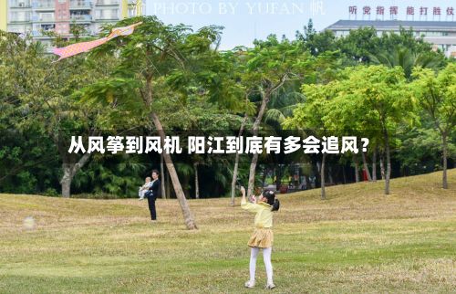从风筝到风机 阳江到底有多会追风？-第2张图片