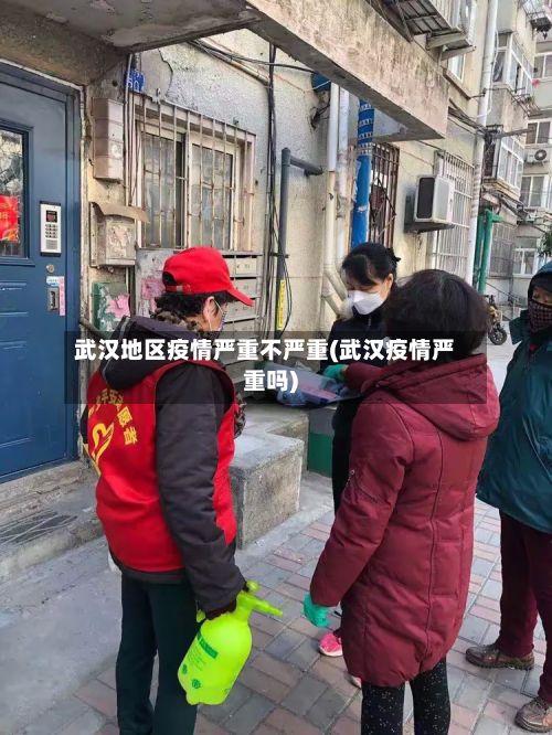 武汉地区疫情严重不严重(武汉疫情严重吗)-第2张图片