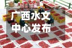 广西水文中心发布洪水红色预警 预计明江水位将全线超警