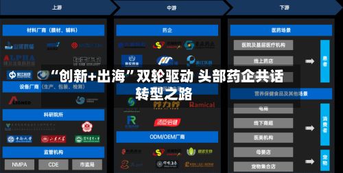 “创新+出海	”双轮驱动 头部药企共话转型之路-第2张图片