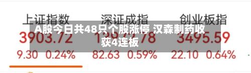 A股今日共48只个股涨停 汉森制药收获4连板-第2张图片