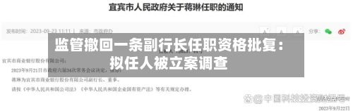 监管撤回一条副行长任职资格批复：拟任人被立案调查-第2张图片
